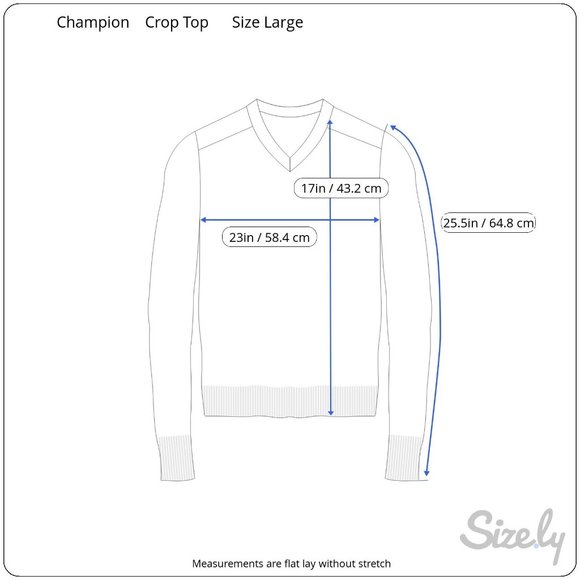 Champion Reverse Weave Sweatshirt Womens Size L Navy Blue Cutoff Cropped Boxy - Picture 3 of 7